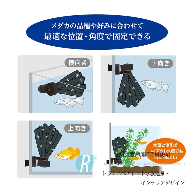 透明度 TRN｜GEX 五味｜メダカ元気 磁吸式稻田魚產卵床｜4入｜人工產卵藻-細節圖5