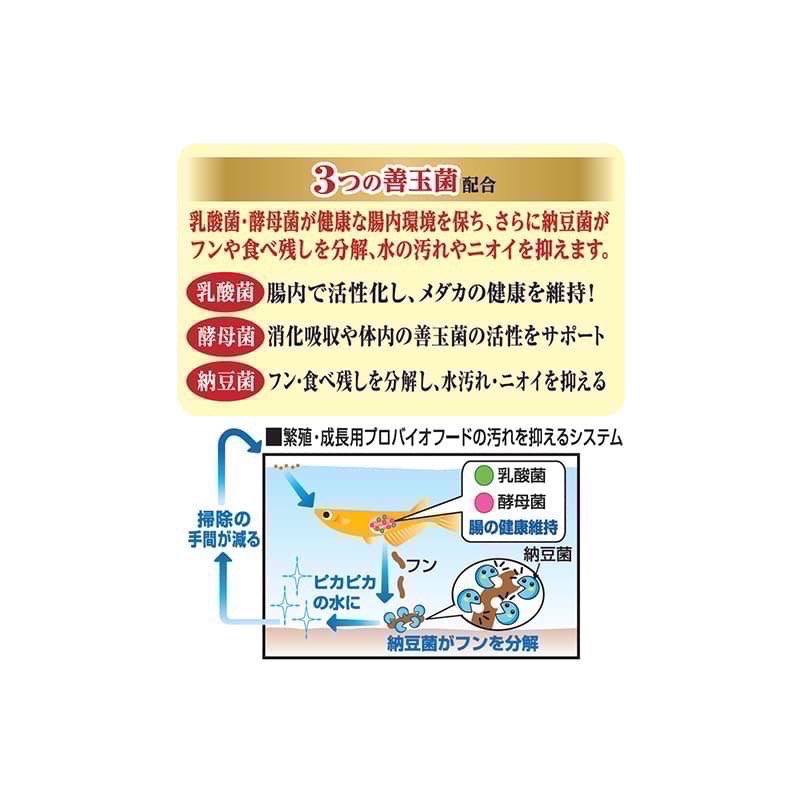 透明度 TRN｜GEX 五味｜メダカ元気 孔雀燈科小型魚繁殖成長飼料｜緩沉性｜粉顆粒｜130g-細節圖3
