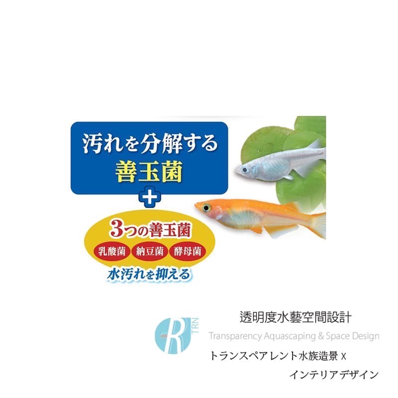 透明度 TRN｜GEX 五味｜メダカ元気 善玉菌孔雀燈科小型魚飼料｜緩沉性｜細顆粒｜130g-細節圖2