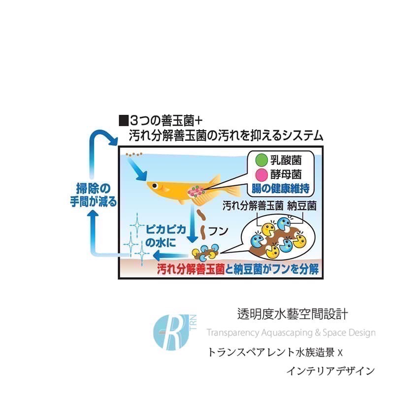 透明度 TRN｜GEX 五味｜メダカ元気 善玉菌孔雀燈科小型魚飼料｜緩沉性｜細顆粒｜130g-細節圖4