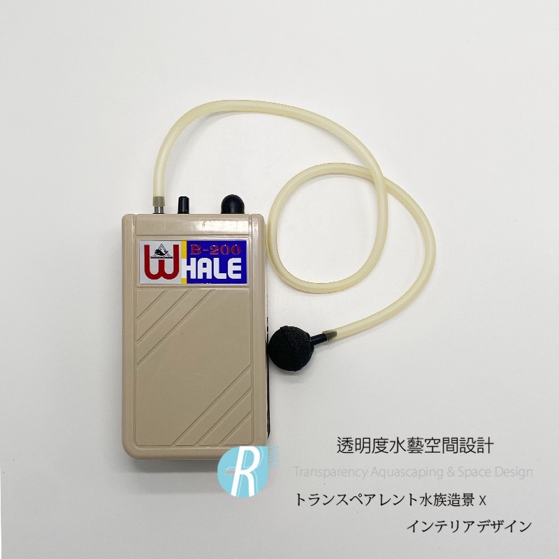 透明度 TRN｜WHALE 虎鯨｜乾電池防水泵 B-200｜2.5L/min｜打氣機 空氣馬達 空氣幫浦-細節圖2