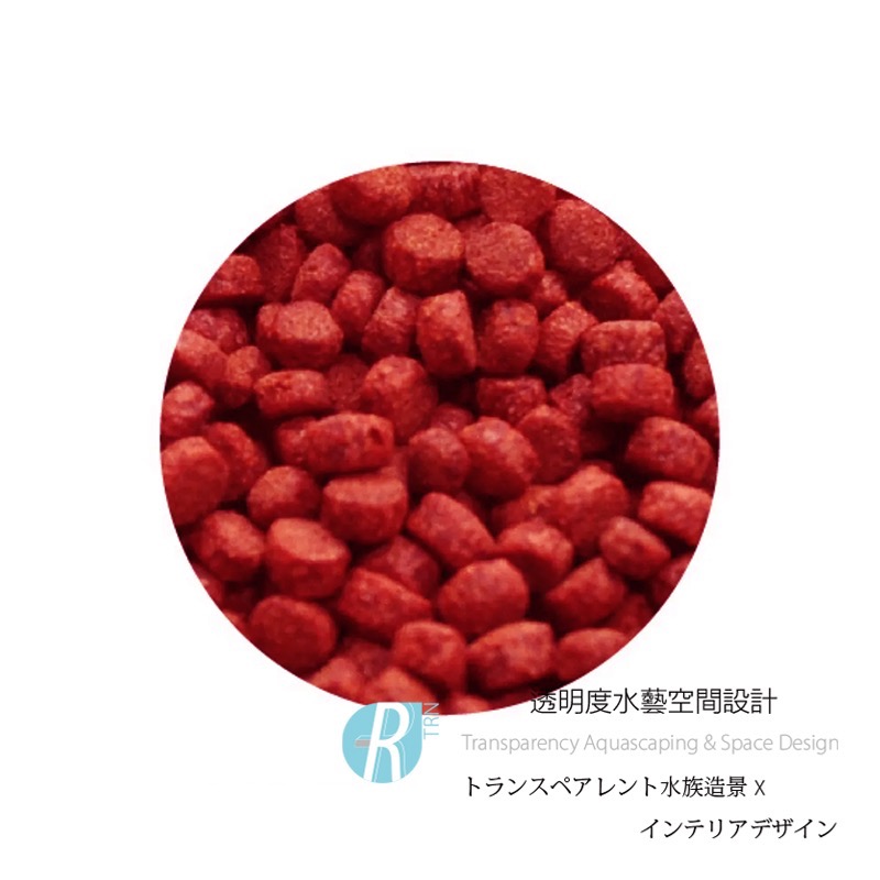 透明度 TRN｜XL｜赤紅血鸚鵡增艷飼料｜浮上性｜中顆粒｜1Kg｜紫鸚鵡 紅財神-細節圖2
