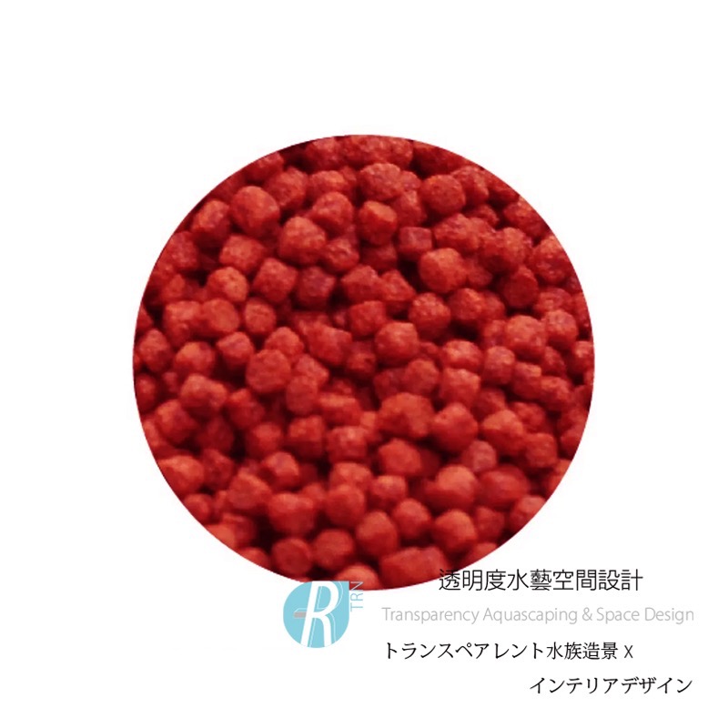 透明度 TRN｜XL｜赤紅血鸚鵡增艷飼料｜浮上性｜小顆粒｜1Kg｜紫鸚鵡 紅財神-細節圖2