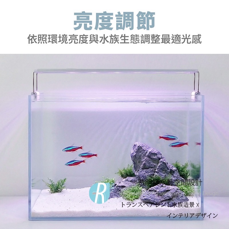 透明度 TRN｜crab aqua 小螃蟹｜USB水草/清澈藍/深海藍淡海水3合1跨燈 2尺｜60~74cm｜玩家LED-細節圖2