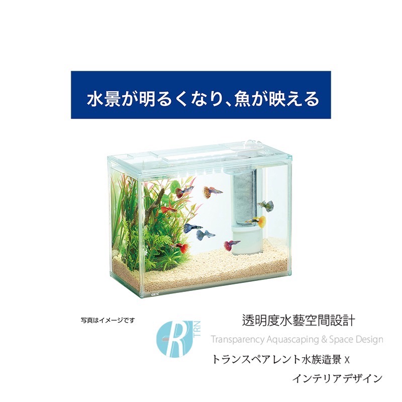 透明度 TRN｜GEX 五味｜培菌造景底砂｜1~4mm｜2.5Kg｜碎石 礫石-細節圖5