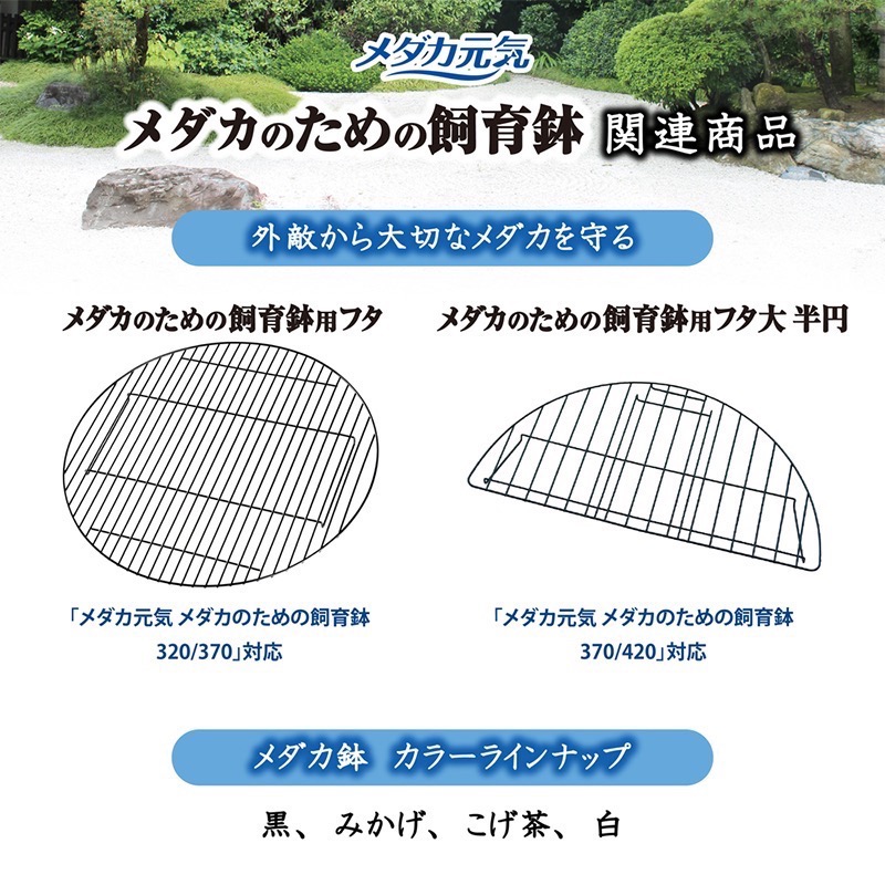 透明度 TRN｜GEX 五味｜メダカ元気 青鱂魚繁殖盆 黑 420｜16L｜飼育盆 飼養盆 戶外水缸-細節圖6