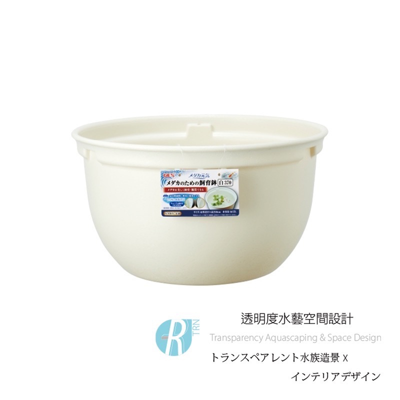 透明度 TRN｜GEX 五味｜メダカ元気 青鱂魚繁殖盆 白 370｜12L｜飼育盆 飼養盆 戶外水缸-細節圖3