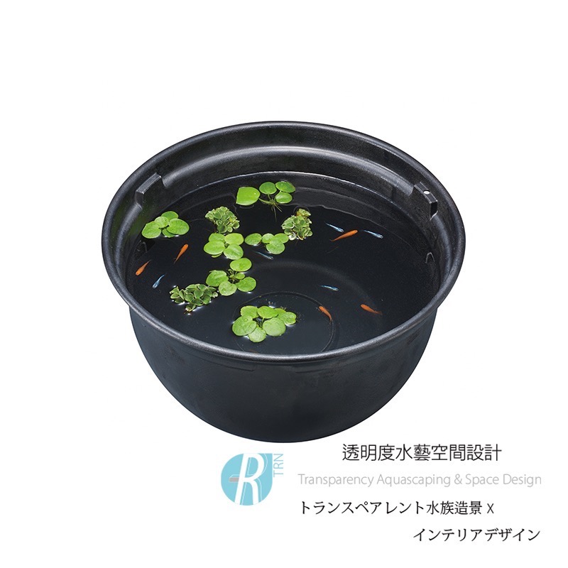 透明度 TRN｜GEX 五味｜メダカ元気 青鱂魚繁殖盆 黑 370｜12L｜飼育盆 飼養盆 戶外水缸-細節圖2