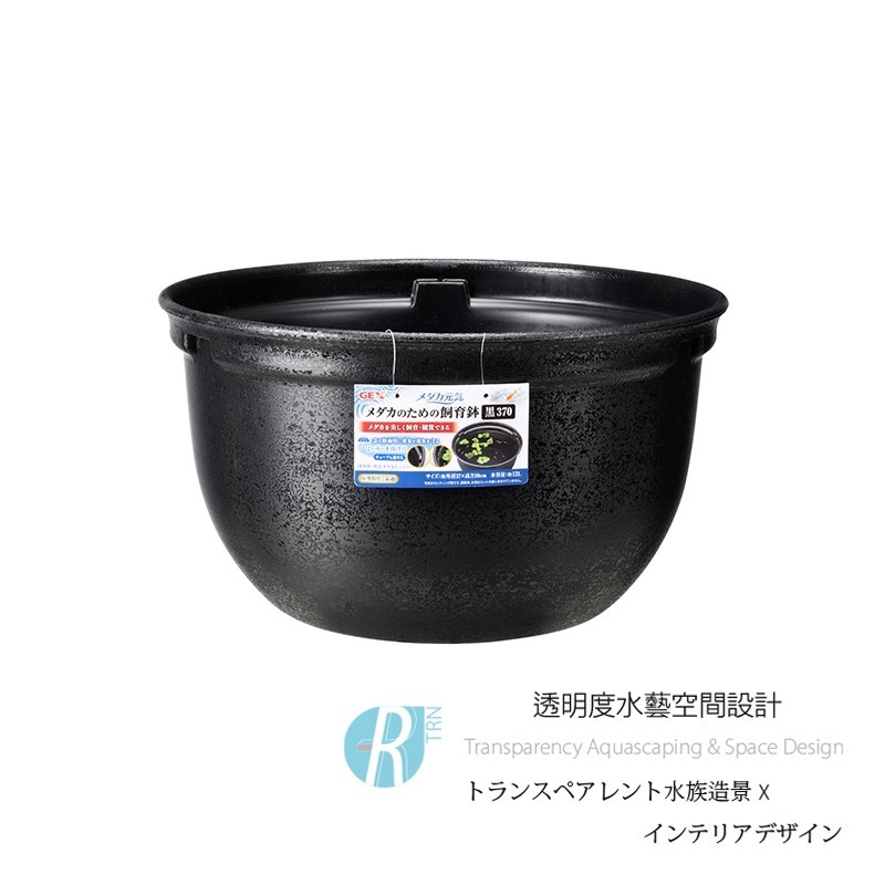 透明度 TRN｜GEX 五味｜メダカ元気 青鱂魚繁殖盆 黑 370｜12L｜飼育盆 飼養盆 戶外水缸-細節圖3