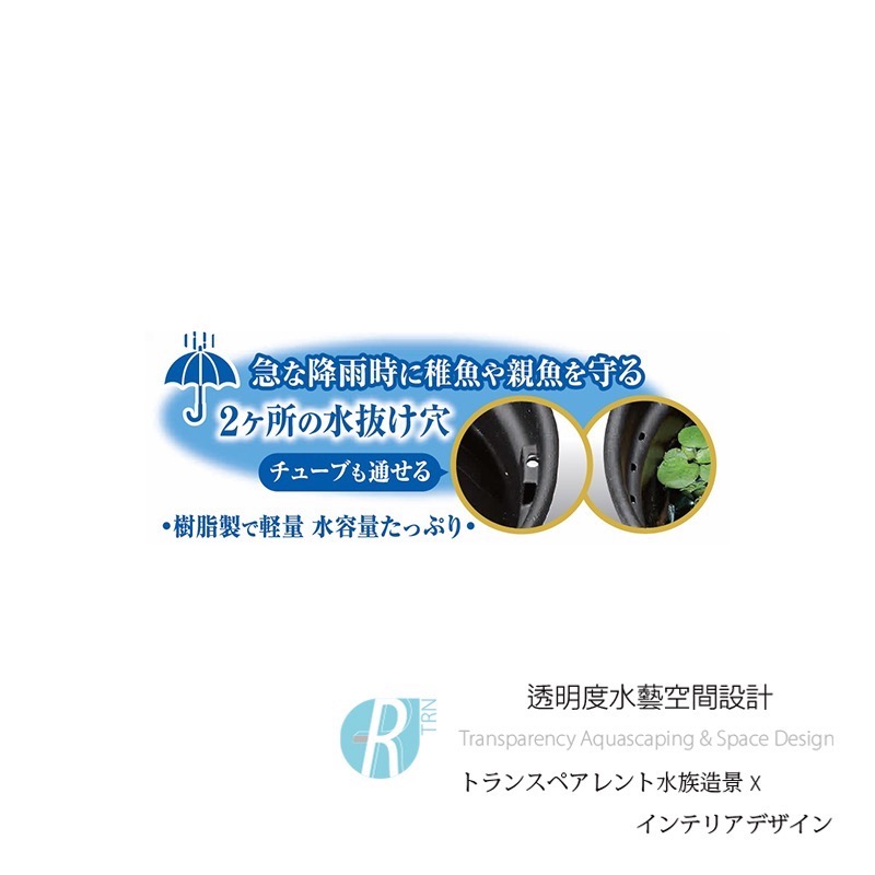 透明度 TRN｜GEX 五味｜メダカ元気 青鱂魚繁殖盆 黑 370｜12L｜飼育盆 飼養盆 戶外水缸-細節圖7