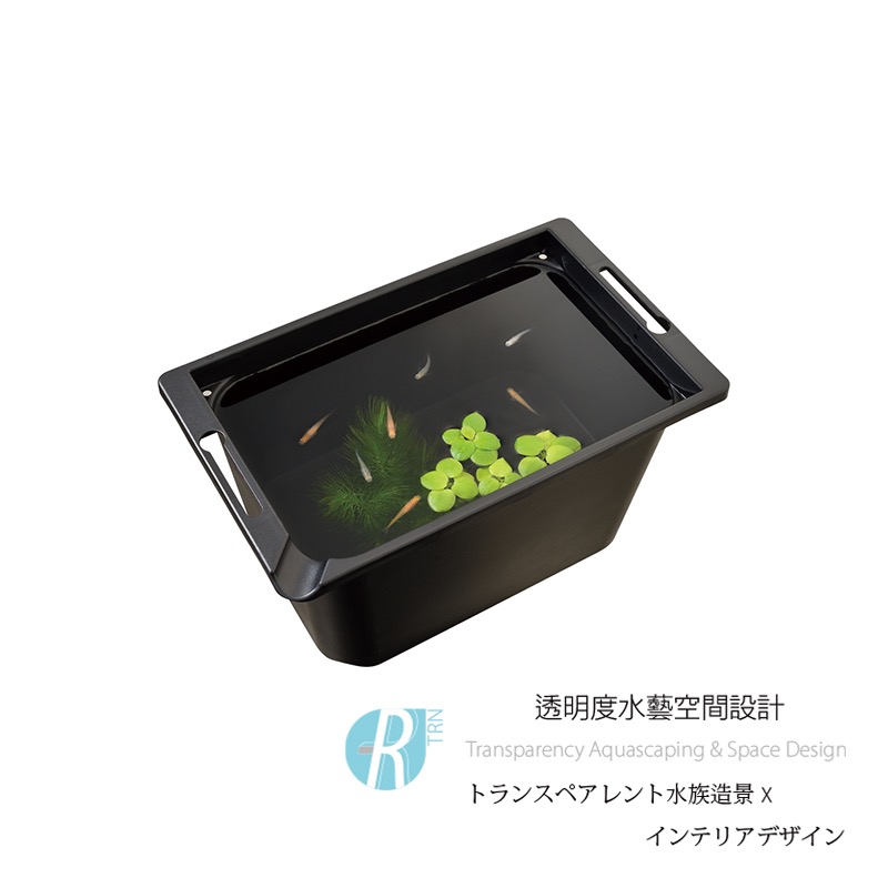 透明度 TRN｜GEX 五味｜メダカ元気 青鱂魚繁殖箱 黑 350｜8L｜飼育箱 飼養箱 戶外水缸-細節圖2