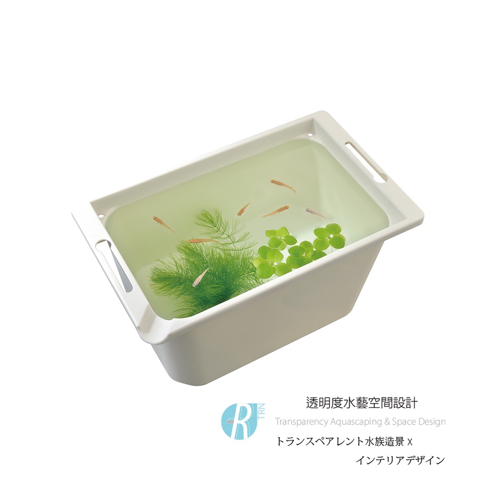 透明度 TRN｜GEX 五味｜メダカ元気 青鱂魚繁殖箱 白 350｜8L｜飼育箱 飼養箱 戶外水缸-細節圖2