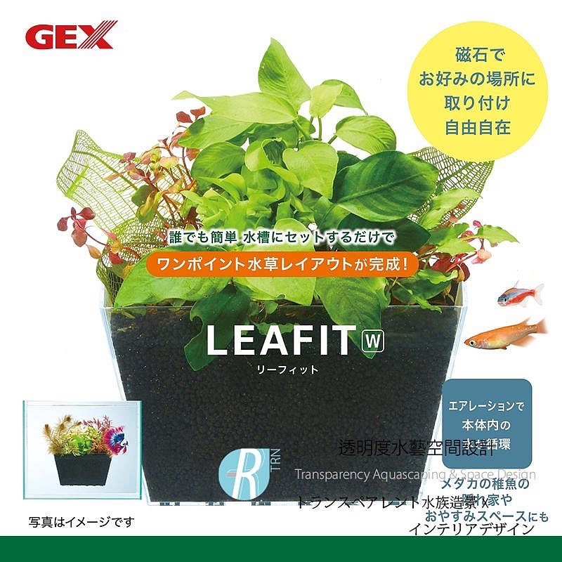 透明度 TRN｜GEX 五味｜LEAFIT W 磁吸式水草培養盒｜水培盒 水耕培養皿 魚草共生