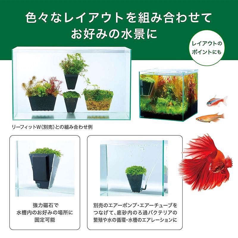 透明度 TRN｜GEX 五味｜LEAFIT W 磁吸式水草培養盒｜水培盒 水耕培養皿 魚草共生-細節圖3