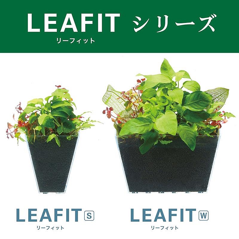 透明度 TRN｜GEX 五味｜LEAFIT W 磁吸式水草培養盒｜水培盒 水耕培養皿 魚草共生-細節圖7
