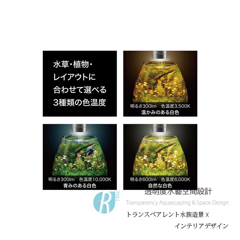 透明度 TRN｜GEX 五味｜USB超亮三色溫水草LED燈 EX-N 1尺｜30cm｜專業型生態缸座燈 多肉塊根植物燈-細節圖5