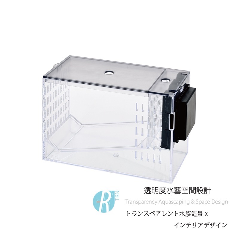 透明度 TRN｜GEX 五味｜多功能磁吸繁殖隔離盒｜6mm｜孵育盒 飼育盒-細節圖3