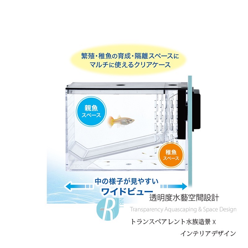 透明度 TRN｜GEX 五味｜多功能磁吸繁殖隔離盒｜6mm｜孵育盒 飼育盒-細節圖5
