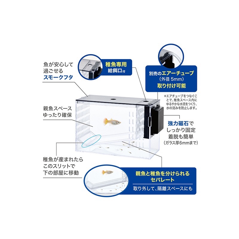 透明度 TRN｜GEX 五味｜多功能磁吸繁殖隔離盒｜6mm｜孵育盒 飼育盒-細節圖6