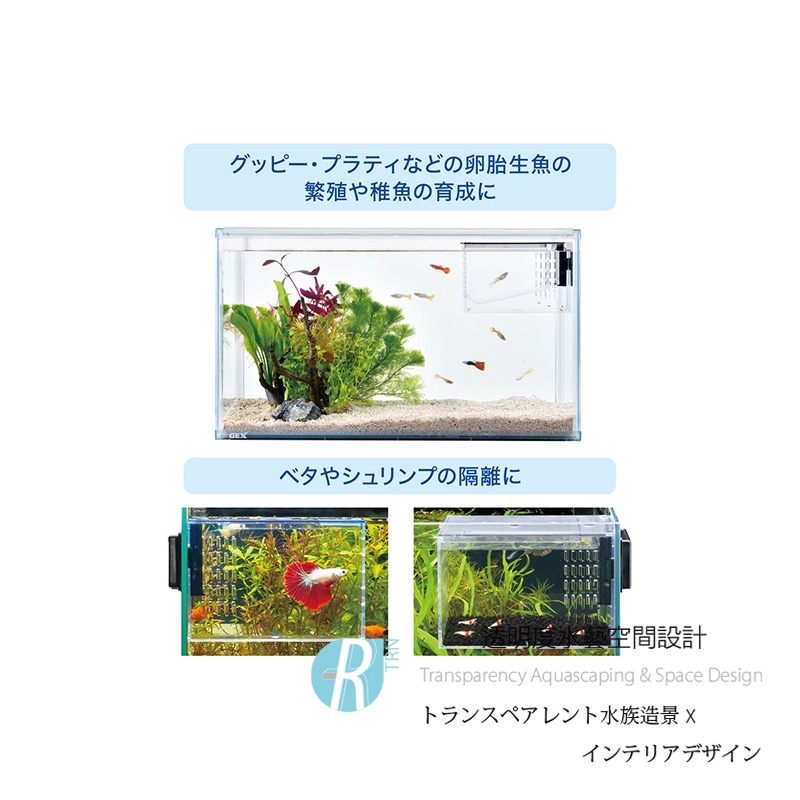 透明度 TRN｜GEX 五味｜多功能磁吸繁殖隔離盒｜6mm｜孵育盒 飼育盒-細節圖7