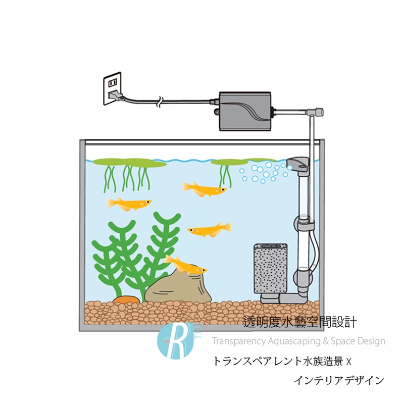 透明度 TRN｜GEX 五味｜メダカ元気 單管氣動式生物過濾器｜水妖精 水中過濾 生化過濾-細節圖7
