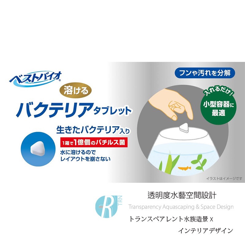 透明度 TRN｜GEX 五味｜ベストバイオ 硝化菌錠｜10入｜開缸 淨化水質-細節圖3