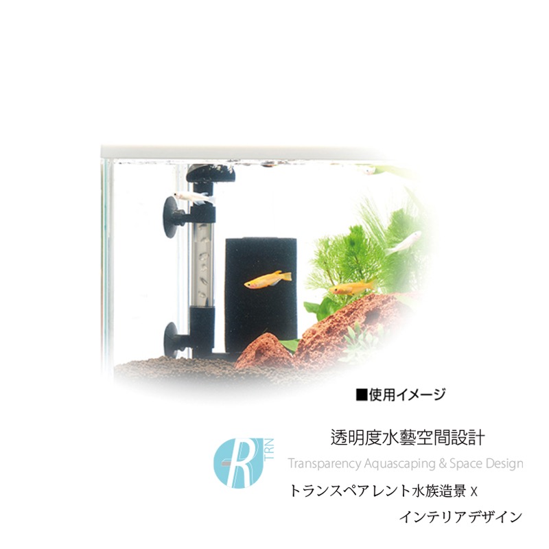 透明度 TRN｜GEX 五味｜メダカ元気 單管氣動式生物過濾器｜過濾綿｜生化棉-細節圖5