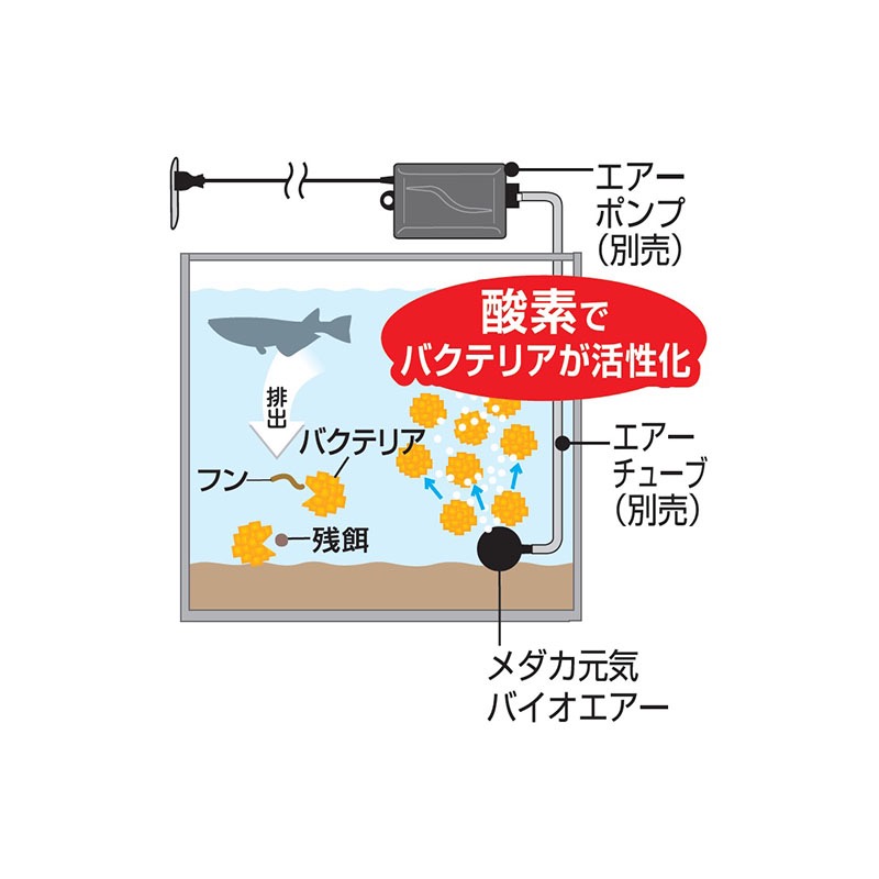 透明度 TRN｜GEX 五味｜メダカ元気 Bio AIR 納豆菌氣泡石 丸形20｜4cm｜打氣石-細節圖4