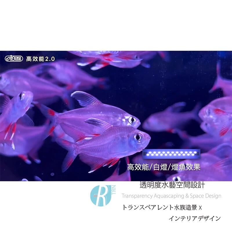 透明度 TRN｜iSTA 伊士達｜高效能2.0水族LED燈 4尺｜120~140cm｜玩家型白色跨燈-細節圖7