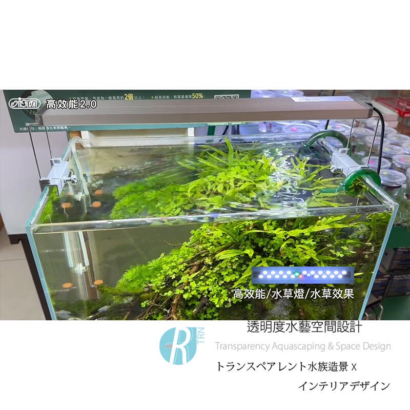 透明度 TRN｜iSTA 伊士達｜高效能2.0水族LED燈 4尺｜120~140cm｜玩家型水草跨燈-細節圖7