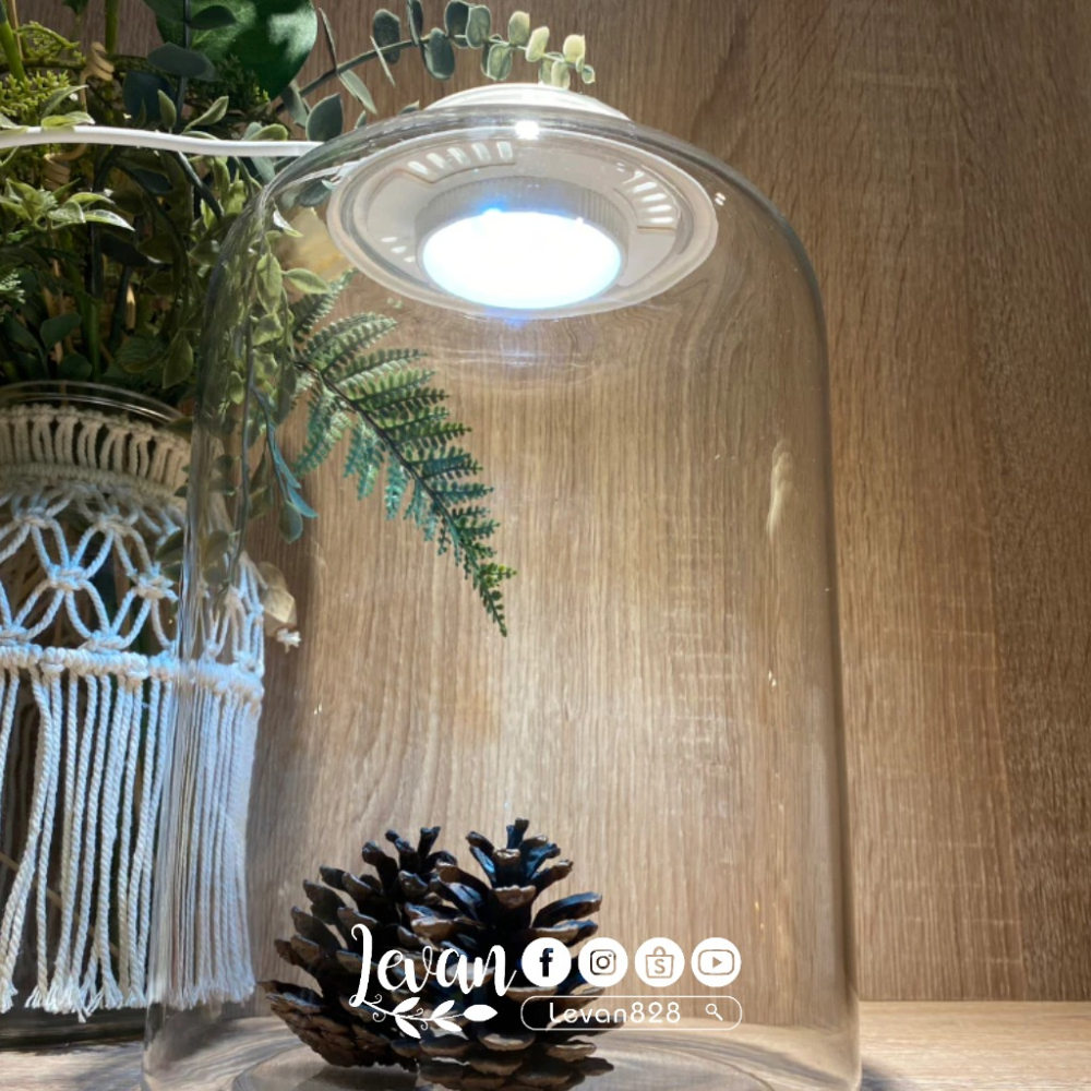 ［現貨］UFO微景觀植物燈補光燈苔蘚生態瓶燈led植物生長燈全光譜植物生長燈植物日照燈植物燈管多肉燈補光燈-細節圖3