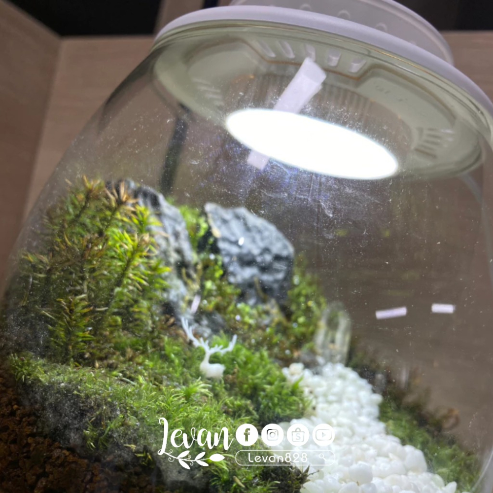 ［現貨］UFO微景觀植物燈補光燈苔蘚生態瓶燈led植物生長燈全光譜植物生長燈植物日照燈植物燈管多肉燈補光燈-細節圖7