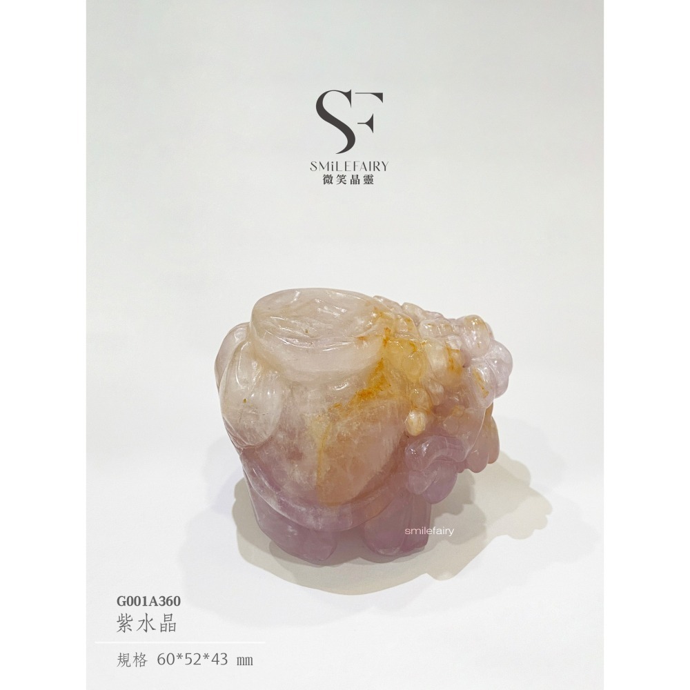 SF龍龜｜紫水晶．智慧開運能量聖獸｜提升智慧、增強直覺、辟邪擋煞、招財納福、提升專注力、平衡情緒-細節圖3
