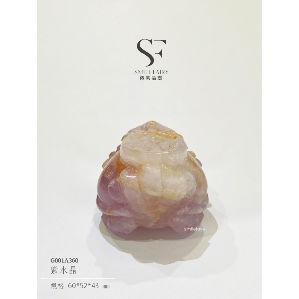 SF龍龜｜紫水晶．智慧開運能量聖獸｜提升智慧、增強直覺、辟邪擋煞、招財納福、提升專注力、平衡情緒-細節圖4