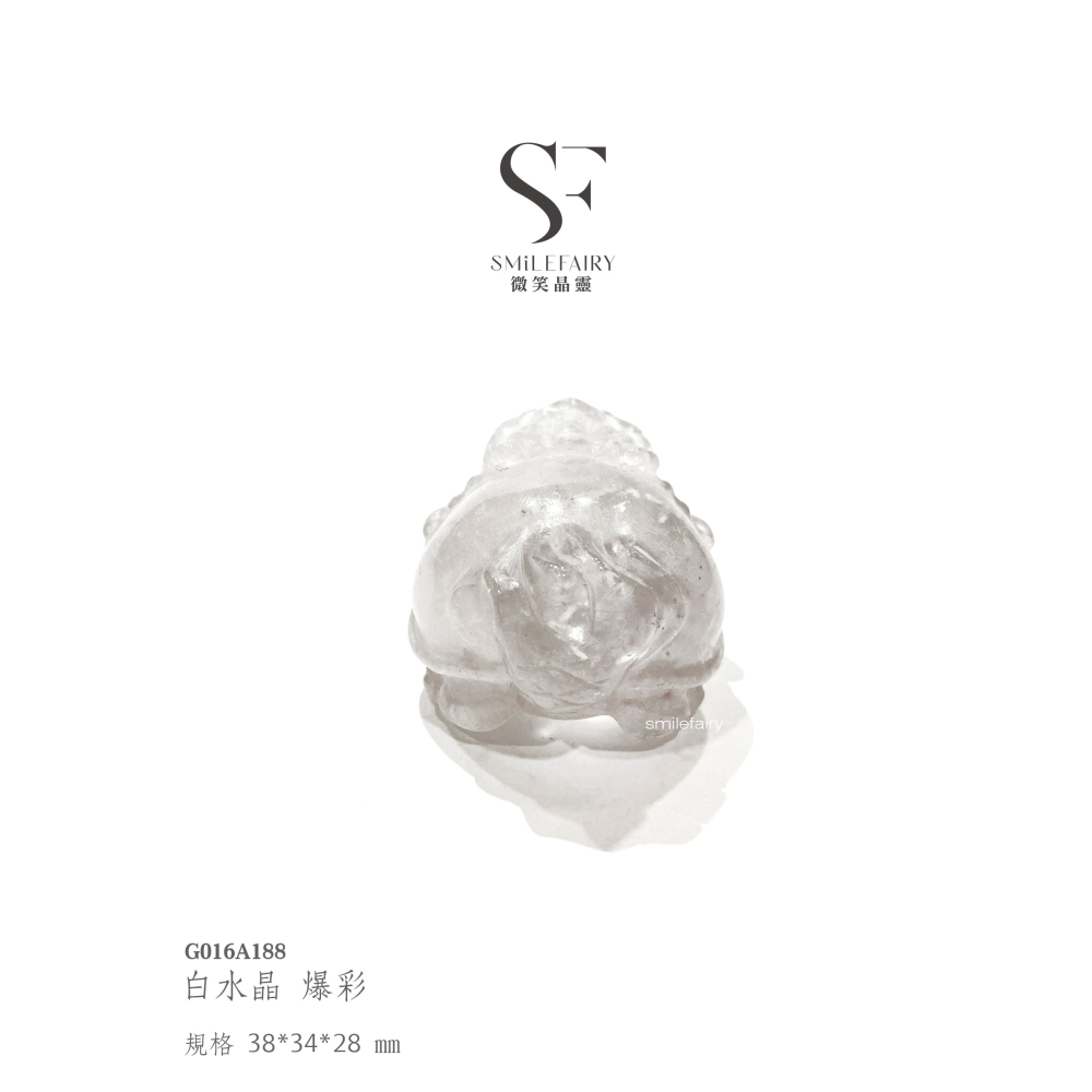 SF龍龜｜白水晶-爆彩．全能淨化之王｜水晶之王 · 能量中樞、淨化負能量、增強專注力、清晰思考、提升靈性、 排解負面-細節圖6