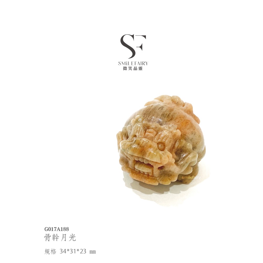 SF龍龜｜骨幹月光．靈性守護者｜骨紋承載・月神祝福、鎮靜情緒、平衡心靈，化解心中的憂鬱，積極樂觀，推進事業，辟邪防小人-細節圖2