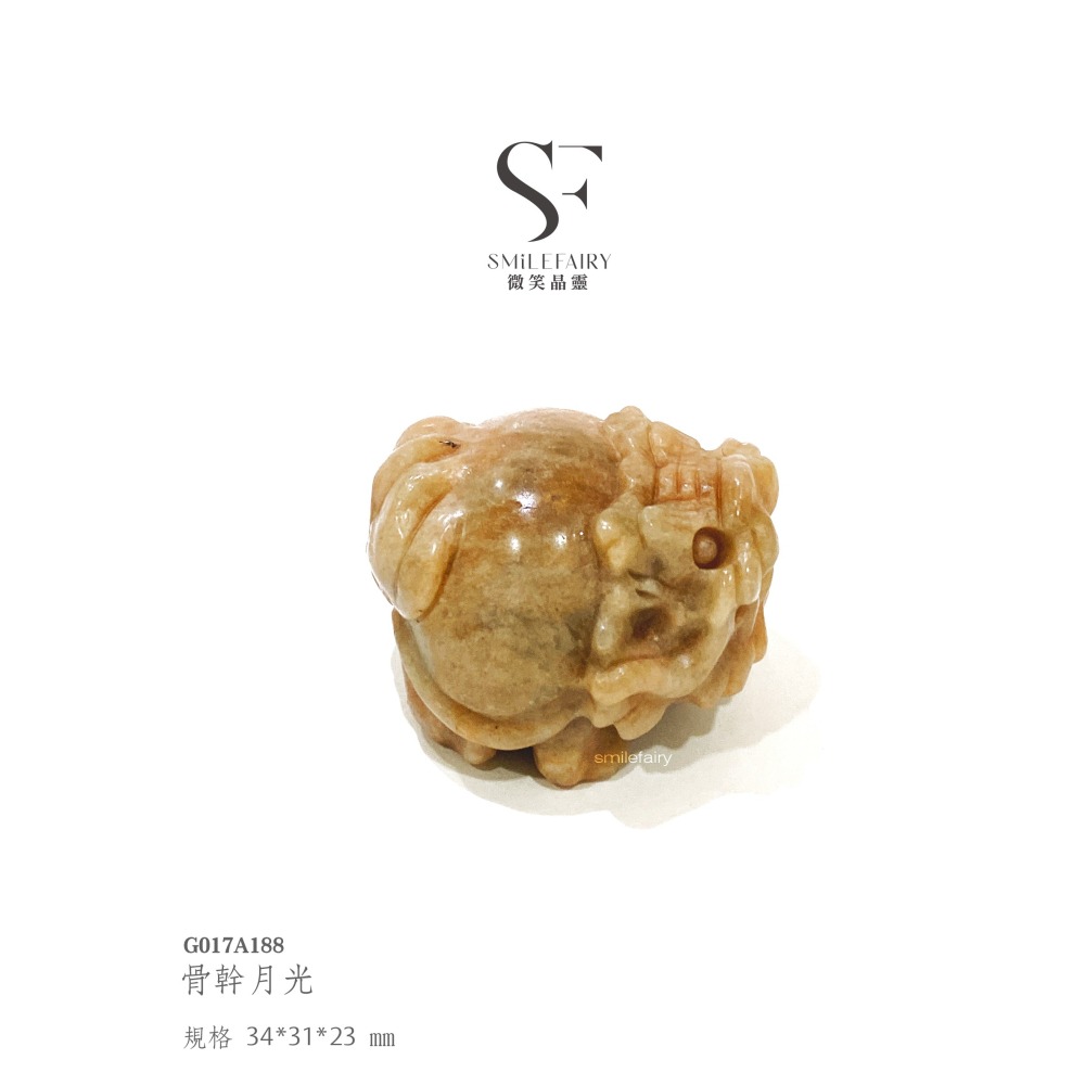 SF龍龜｜骨幹月光．靈性守護者｜骨紋承載・月神祝福、鎮靜情緒、平衡心靈，化解心中的憂鬱，積極樂觀，推進事業，辟邪防小人-細節圖5