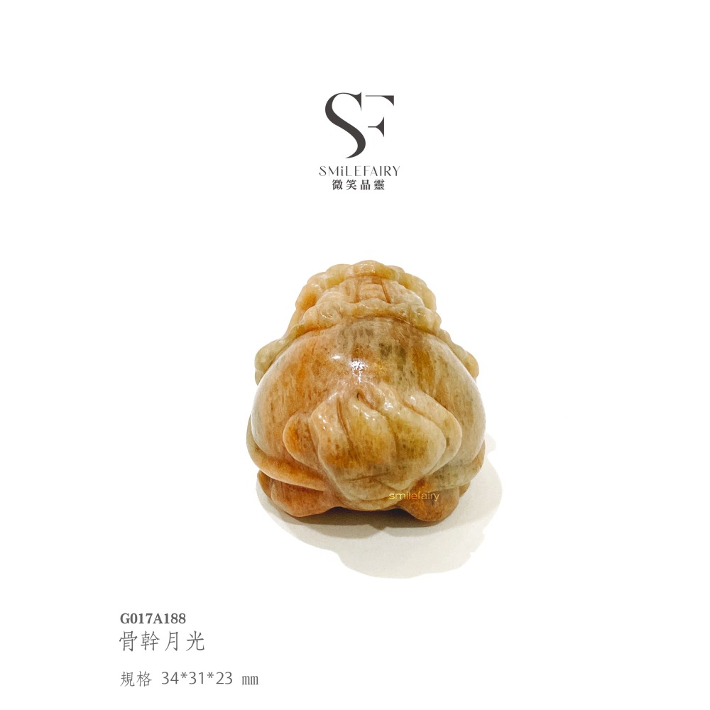 SF龍龜｜骨幹月光．靈性守護者｜骨紋承載・月神祝福、鎮靜情緒、平衡心靈，化解心中的憂鬱，積極樂觀，推進事業，辟邪防小人-細節圖6