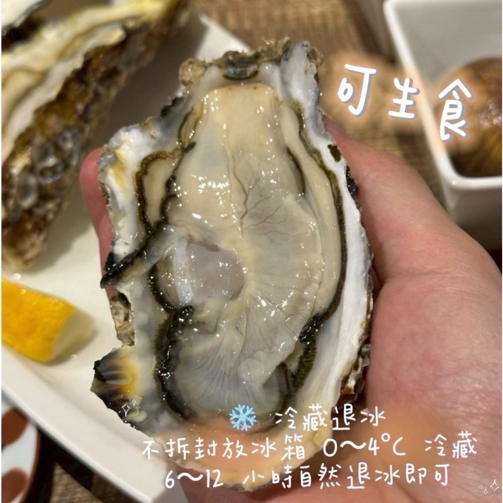 🇯🇵【北海道2L大生蠔】生食級🦪｜牡蠣｜生魚片｜烤肉必備-細節圖4