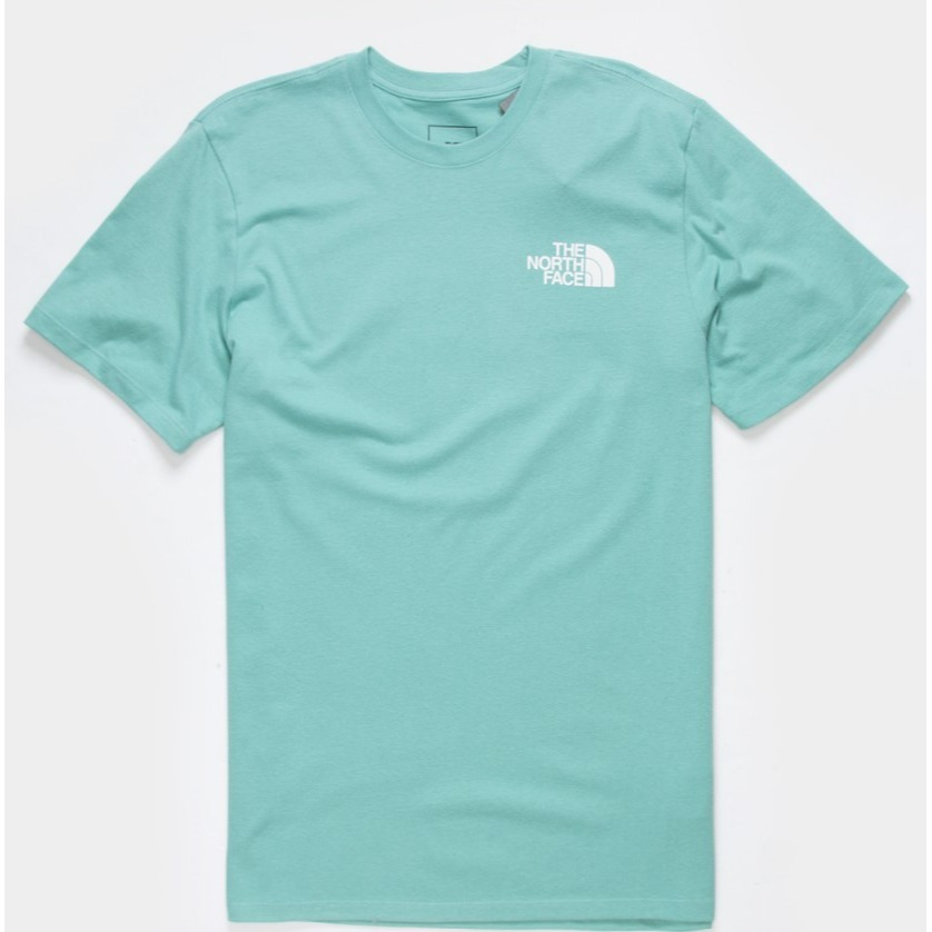 THE NORTH FACE M SS BOX TEE 芥末綠 色彩渲染方塊 短T-細節圖2