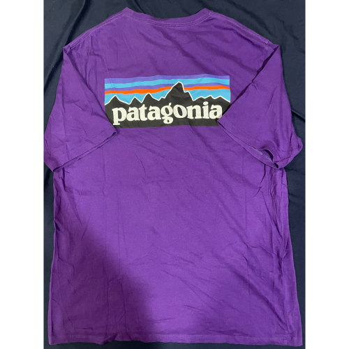 二手 Patagonia logo organic cotton Tee 100%有機材質 M號
