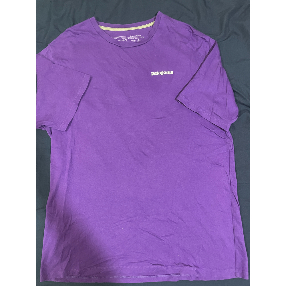 二手 Patagonia logo organic cotton Tee 100%有機材質 M號-細節圖2