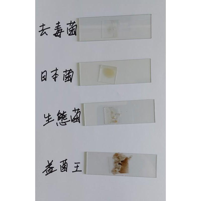 日本複合益菌王（淡海水適用）非病原性微生物-水族良伴-細節圖8