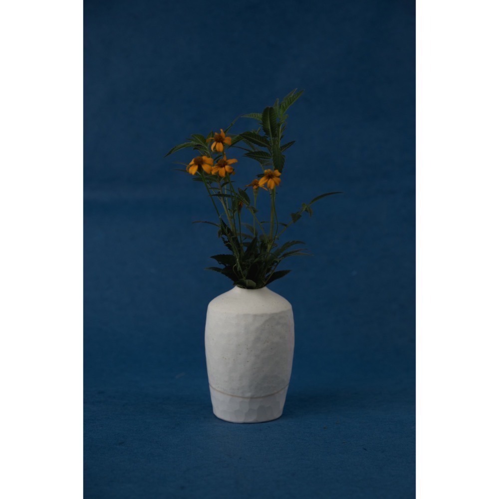 【香草茶】尹水植園-香葉茶(2g/每包)-細節圖5