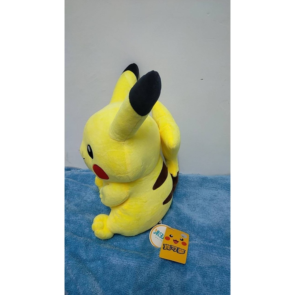 正版 寶可夢 Pokemon Go 神奇寶貝 皮卡丘 娃娃 玩偶 絨毛玩偶 30CM-細節圖2