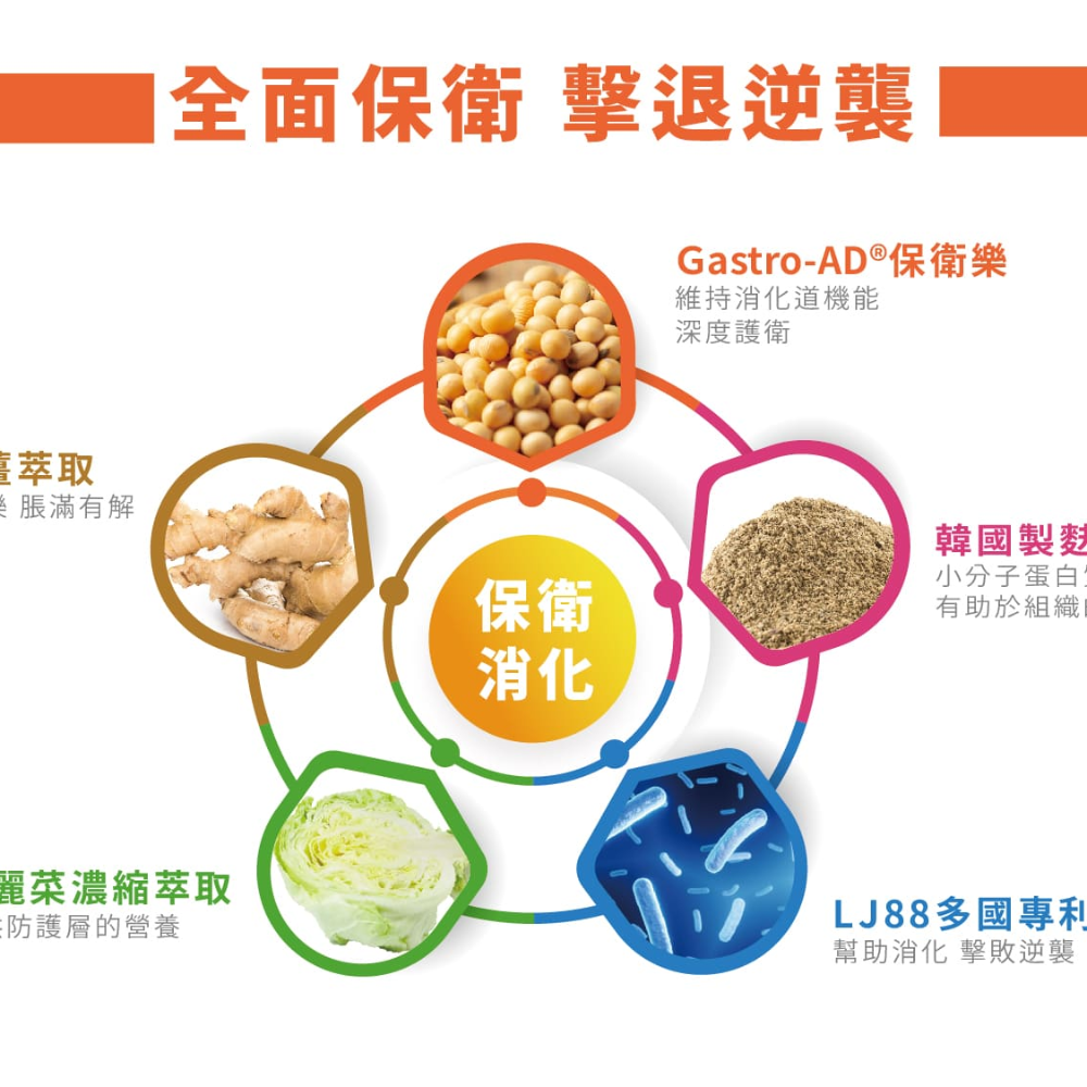 為你好 保衛益菌粉末食品 為你好 保衛益菌粉末食品60包／盒-細節圖3