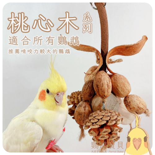 鸚鵡玩具 當天寄出 台灣製造 天然原木 天然果材 鳥玩具 鸚鵡啃咬串 耐啃咬 松果 木芒果 桃花心木 和尚 凱克 灰鸚