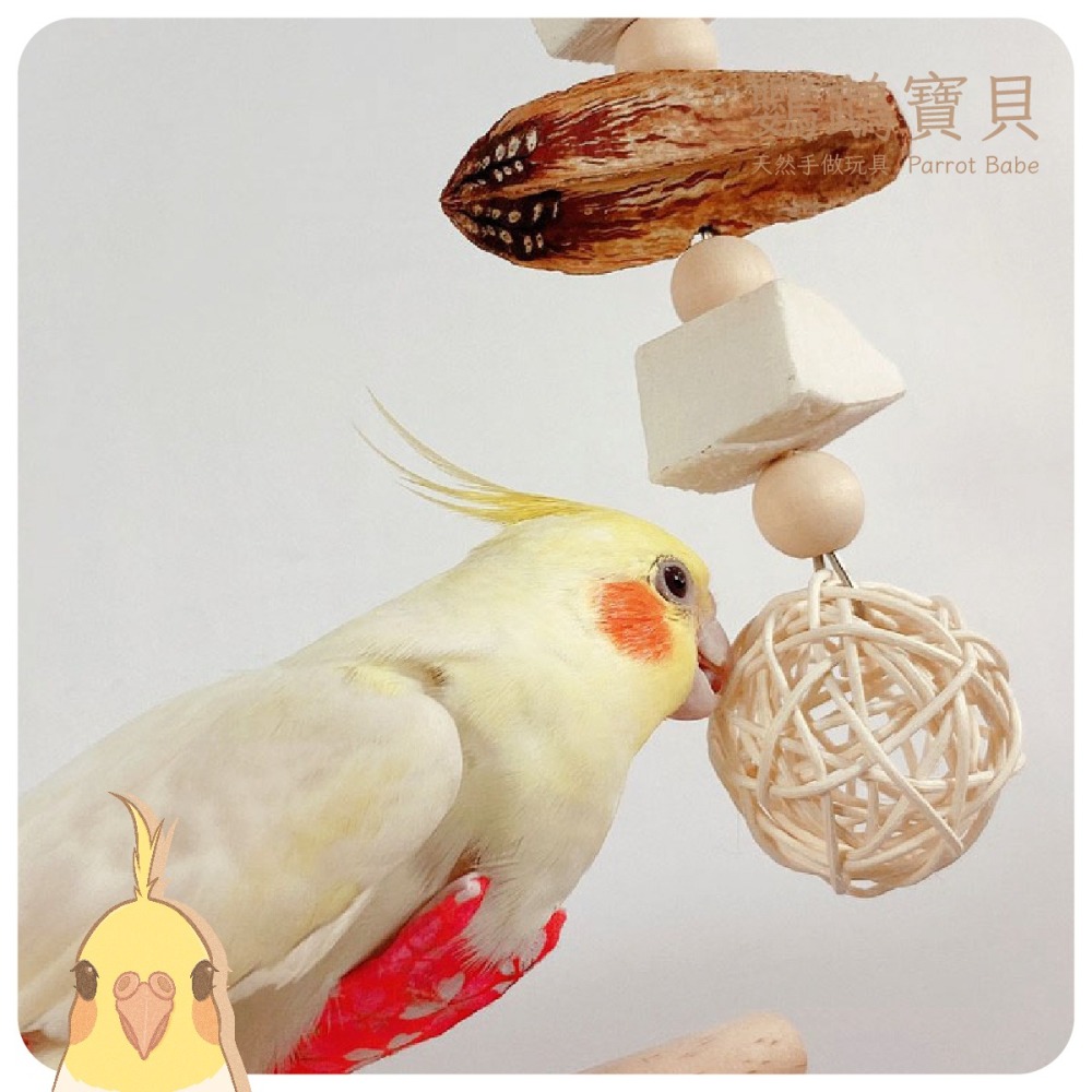 鸚鵡玩具 台灣製 墨魚骨 天然啃咬玩具 鳥用品 鳥玩具 鸚鵡啃咬串 橫斑 虎皮 小鸚 玄鳳 凱克 和尚 太平洋-細節圖2