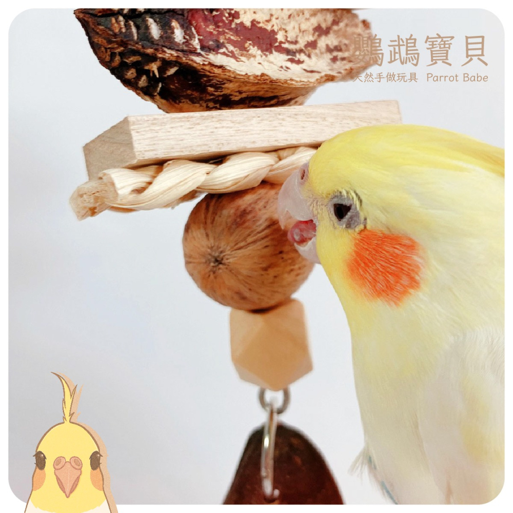 鸚鵡玩具 台灣製 鸚鵡啃咬串 鳥玩具 鸚鵡用品 果實玩具 天然玩具串 適合中型鸚鵡-細節圖3