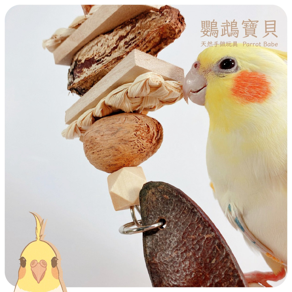 鸚鵡玩具 台灣製 鸚鵡啃咬串 鳥玩具 鸚鵡用品 果實玩具 天然玩具串 適合中型鸚鵡-細節圖4